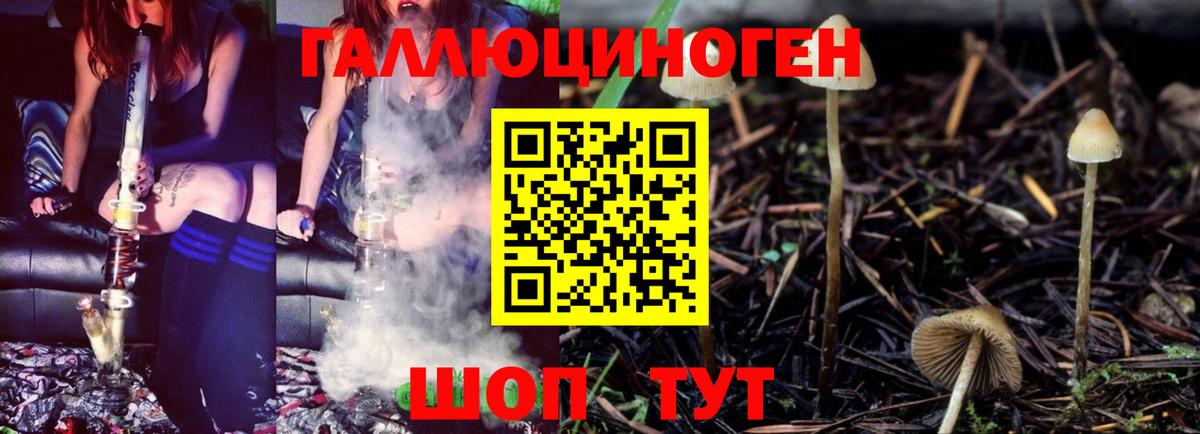 Псилоцибиновые грибы мицелий Урай